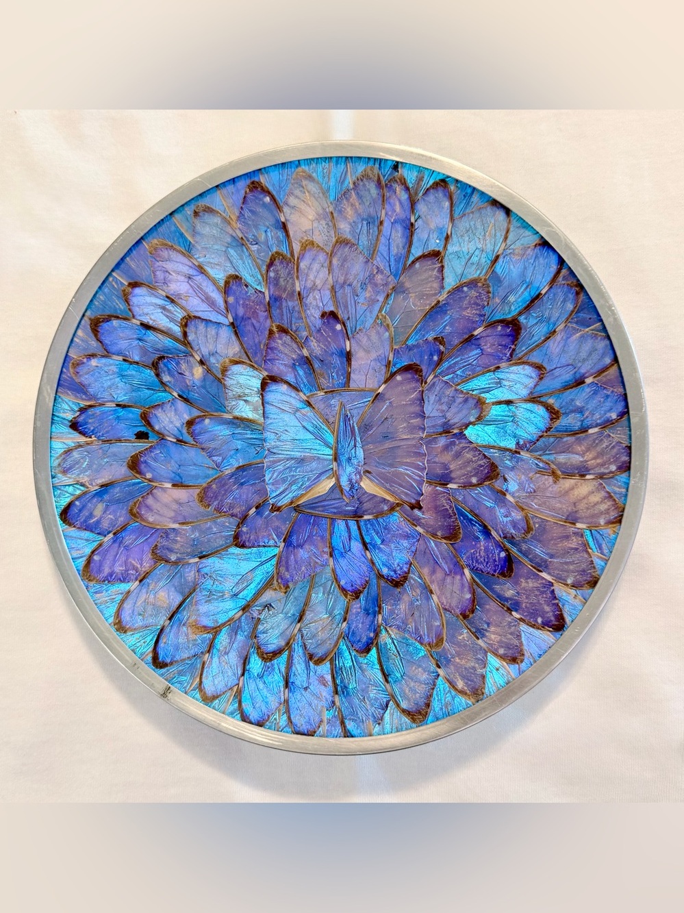 🦋 Vintage Morpho Butterfly Wing Wall Art, Gorgeous Blue Iridescence, 9.5” Diam